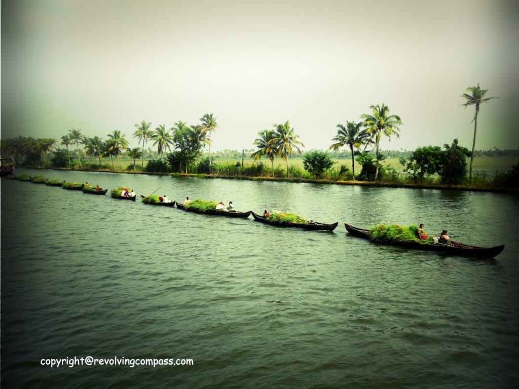 Alleppey (Alapuzzha) Things to do in Bekal
