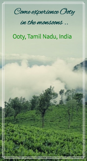 Ooty is a beautiful hill station in South India , in the state of Tamil Nadu. It is equally beautiful in monsoons when the rains start pouring