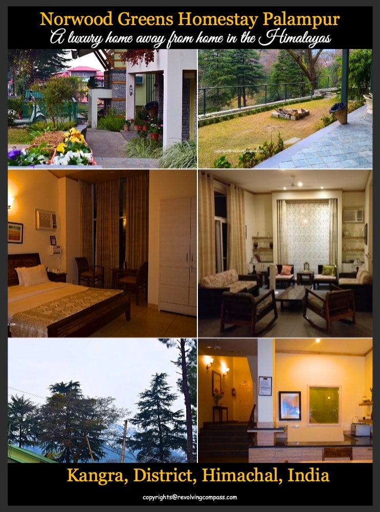 Norwood Green , Palampur, Kangra Valley, Himachal Pradesh, India. a beautiful hill station located across the dhauladhar mountain ranges in the Himalayas. A luxurious stay option in Palampur. Head here for a homely experience and a peaceful vacation