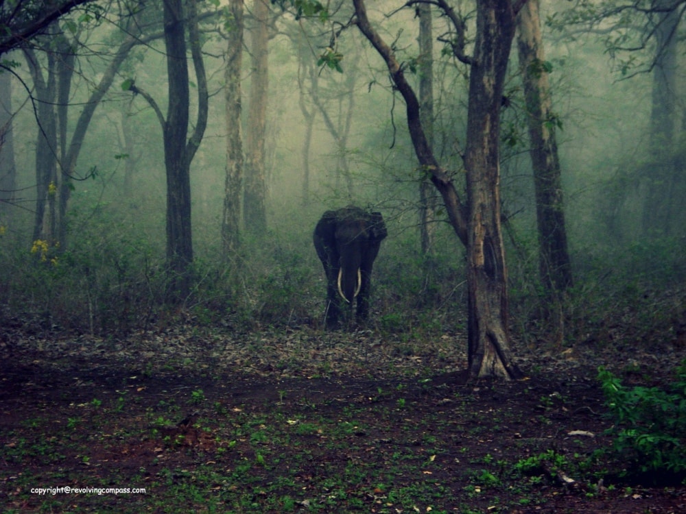 places to visit in Coorg