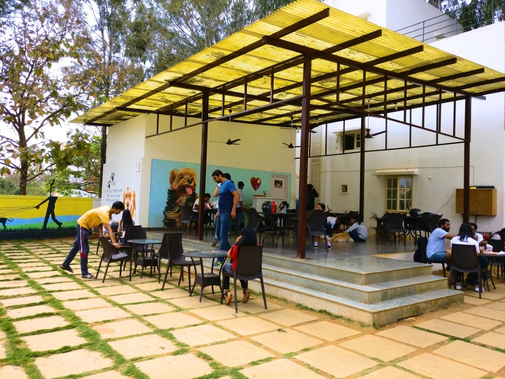 TherPUP dog cafe Bangalore
