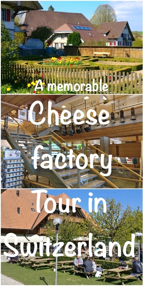 CheeseFactory_Pin-min