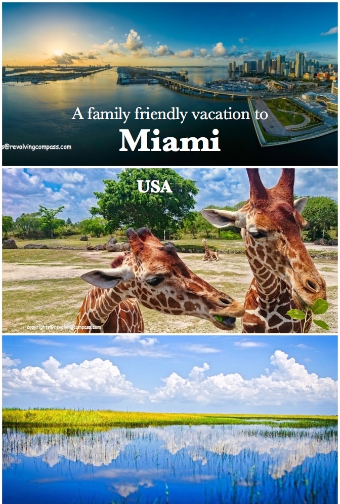 Family Vacation in Miami USA | Things to do with kids in Miami USA | Family travel to Miami | Miami Zoo | Children's Museum Miami