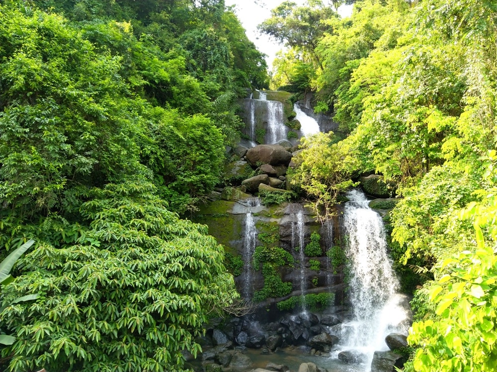 4 day trip to Meghalaya | Waterfall