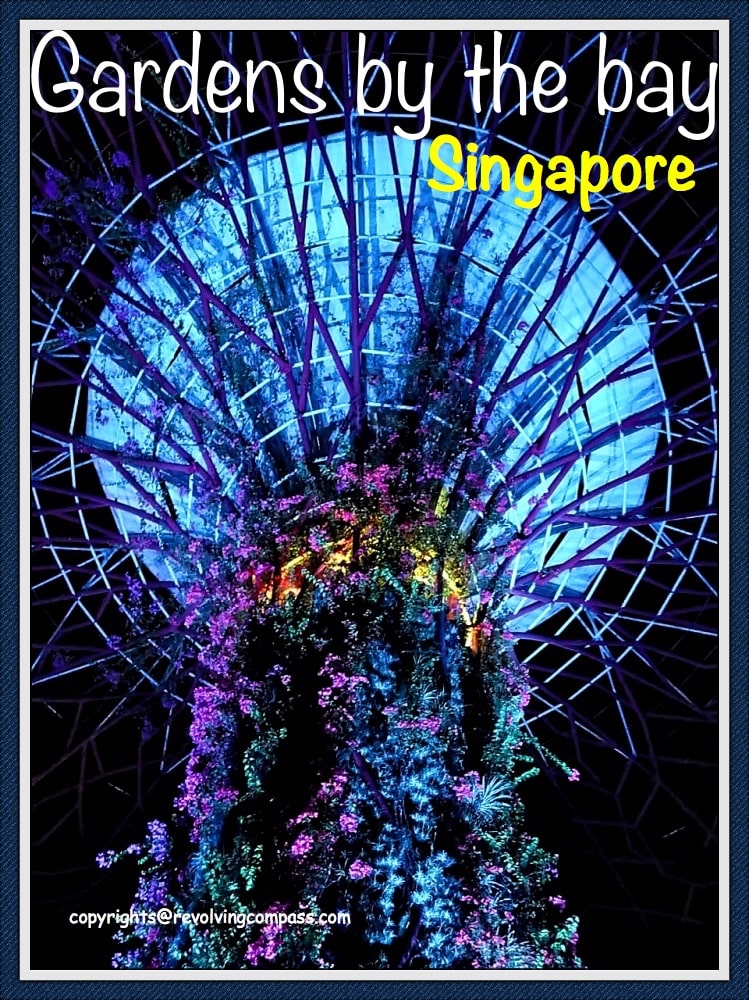 Gardens by the bay Singapore | Singapore attractions | Tips on visiting Gardens by the bay | Must see in Singapore