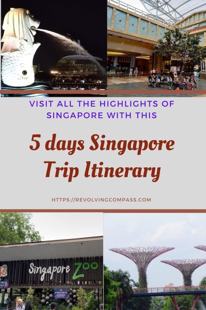 singapore round trip from india