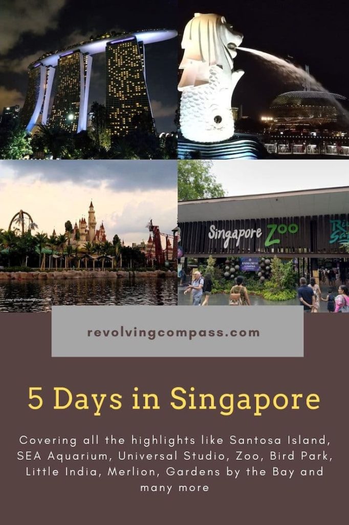 how to visit singapore from india