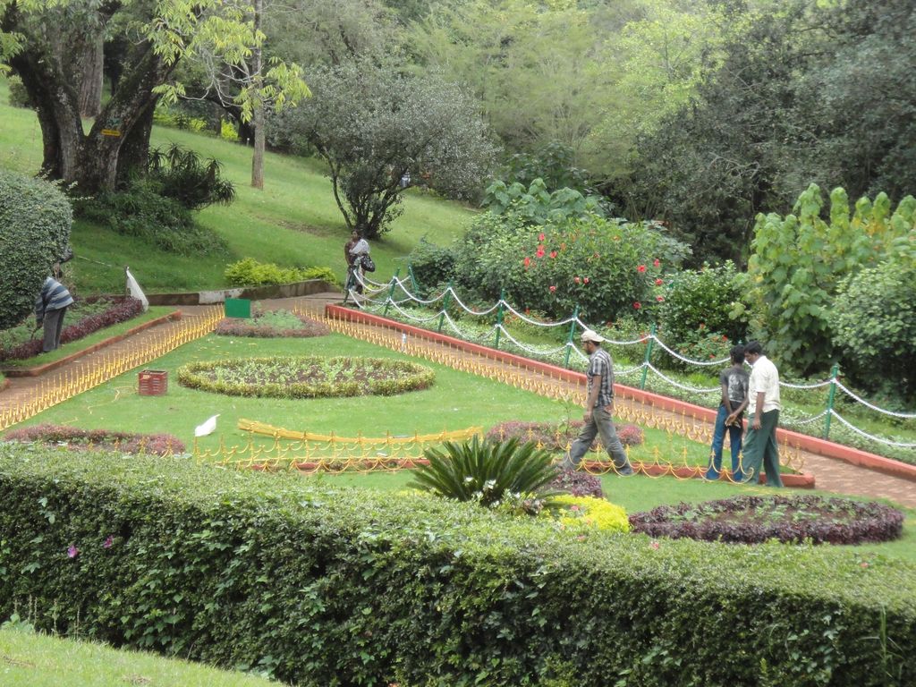 ooty day tour