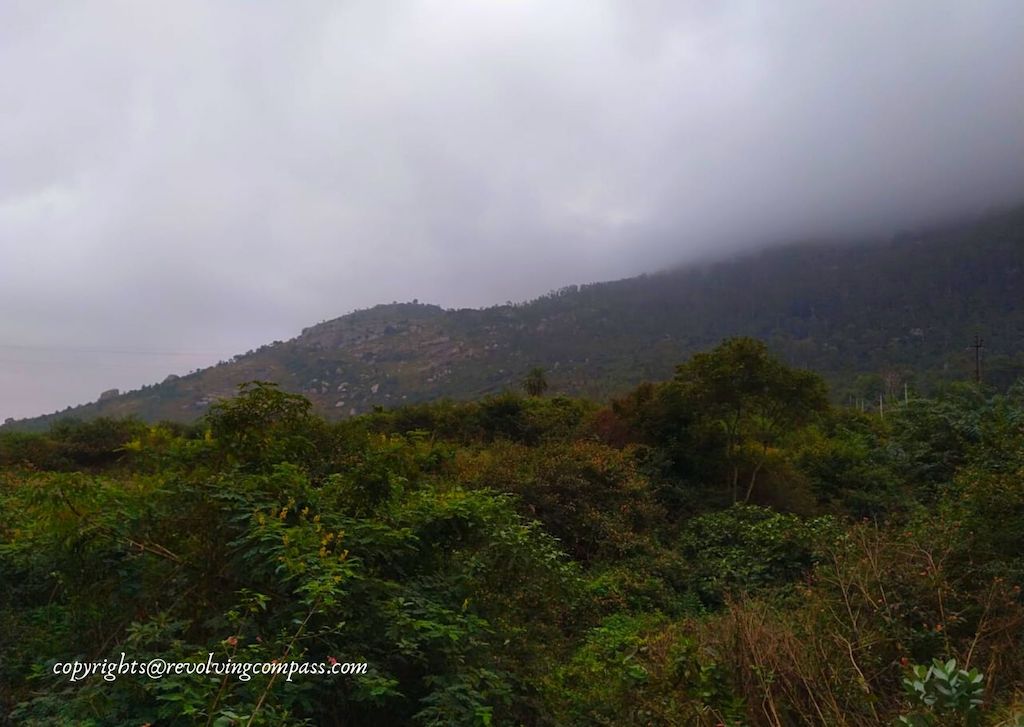 A view of the mountains on our trek to Nandi Hills