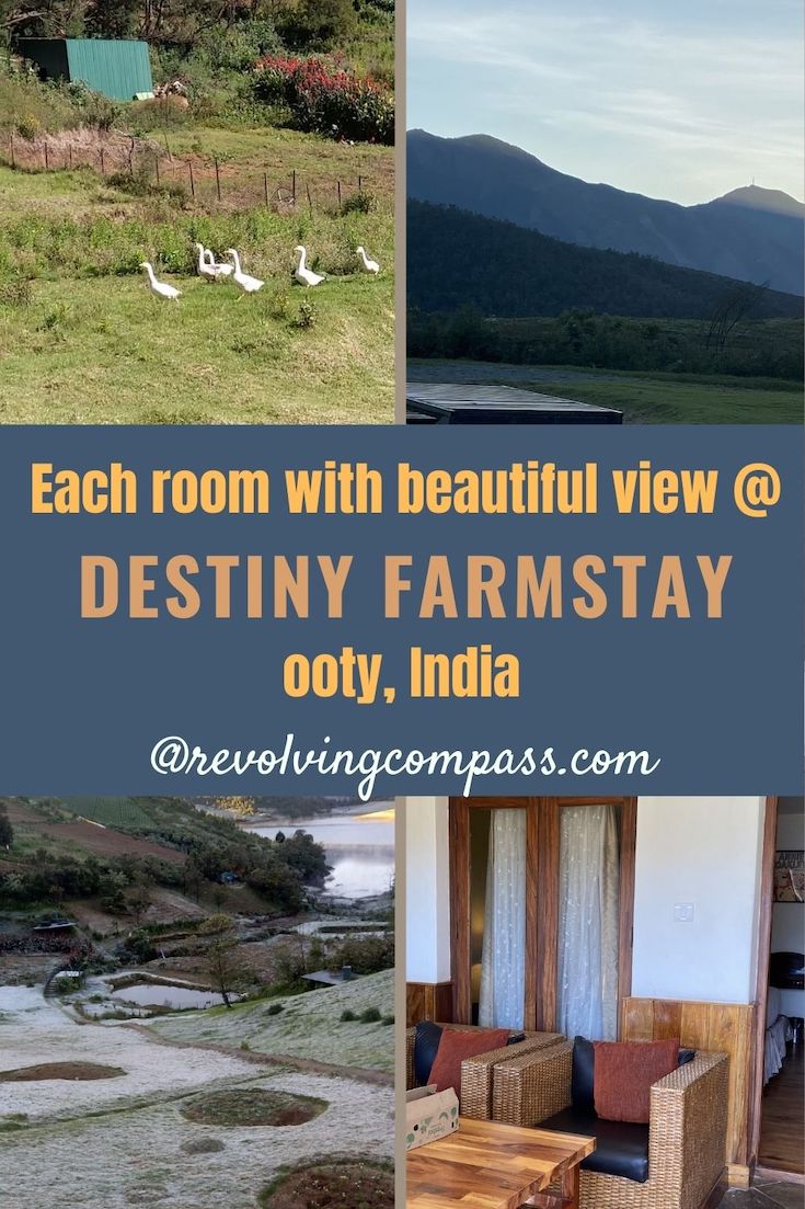 Destiny Farm stay Ooty | offbeat experience in Ooty | best of Ooty | Emerald Lake | Avalanche Lake | Silent Valley | Trekking | Lake Walk | Camping by the lake in Ooty | Snow in Ooty | How to reach | best time to visit | Horse riding