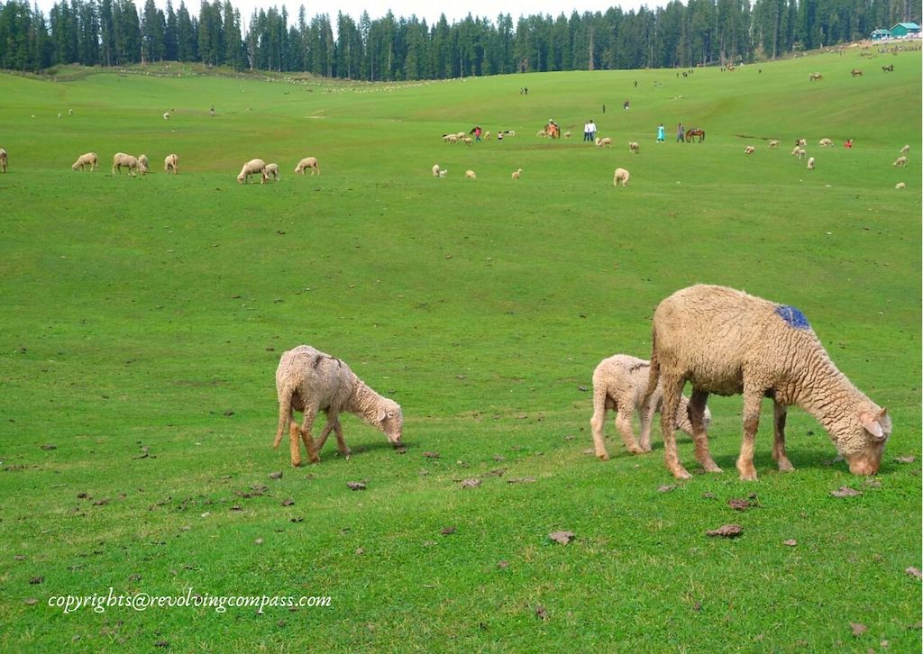 places to visit in kashmir in 2 days
