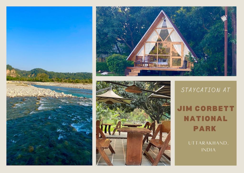 A refreshing staycation in Jim Corbett National Park