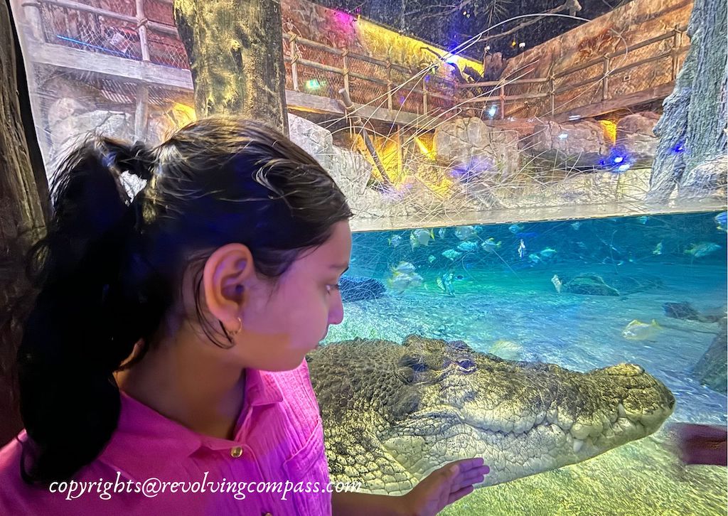 dubai aquarium virtual tour